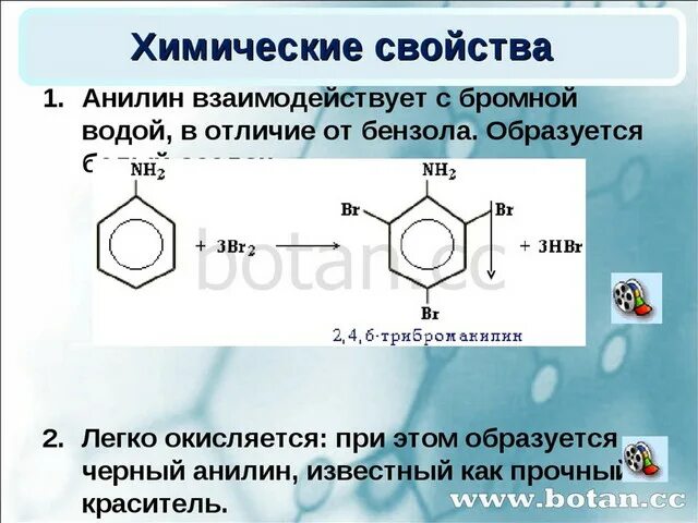 Взаимодействие анилина с галогенами. Анилин вода и бромная вода. Анилин плюс бромная вода. Химические свойства анилина и бензола. Анилин и вода реакция