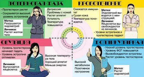 Поведение во время месячных