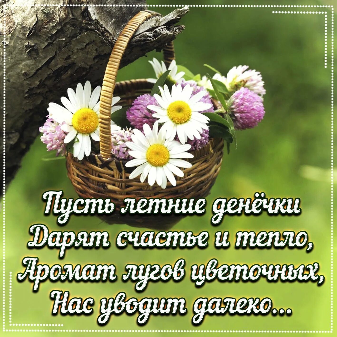 Теплые пожелание доброго дня