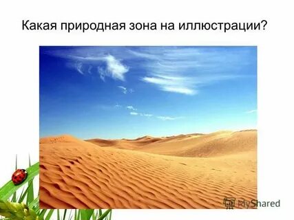 Природные условия 5 букв