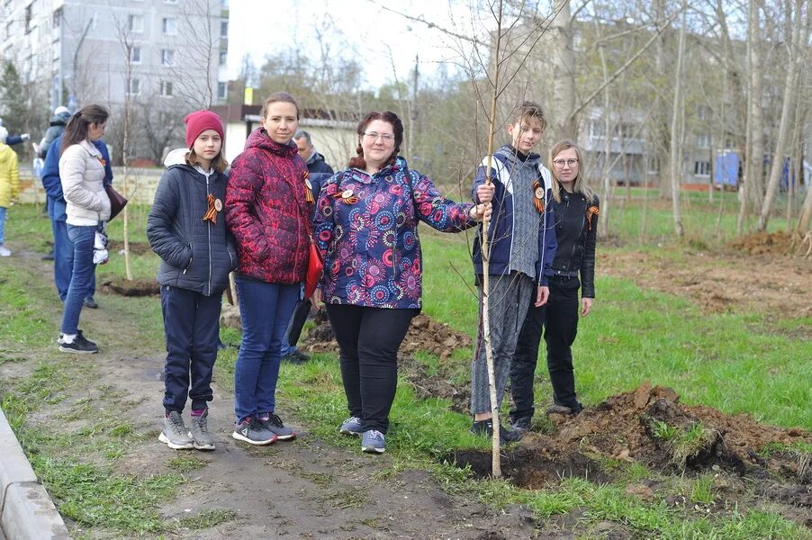 Посадка деревьев 2025. Посадка деревьев акция. акция посади дерево. акция посади дерево 2025. посадка деревьев спб волонтеры.
