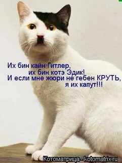 Их бин