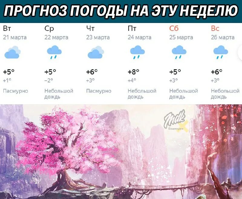 Телеграмм в башкирии