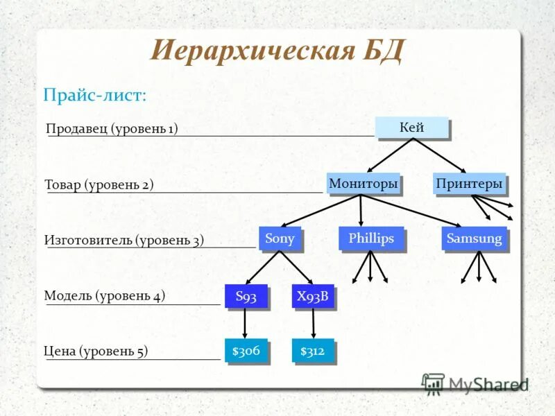 Иерархического способа организации данных. Схема иерархической базы данных. Иерархическая модель базы данных. Иерархическая модель данных схема. Схема иерархической модели базы данных.