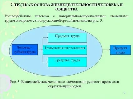 Экономическая основа жизнедеятельности общества