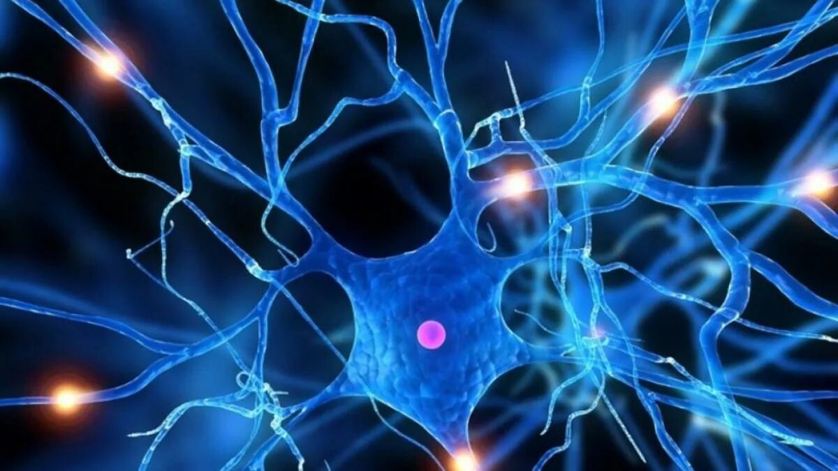 Синаптическая связь между нейронами. Нейроны головного мозга. Нервная клетка. Нейронная сеть мозга. Нейро системы