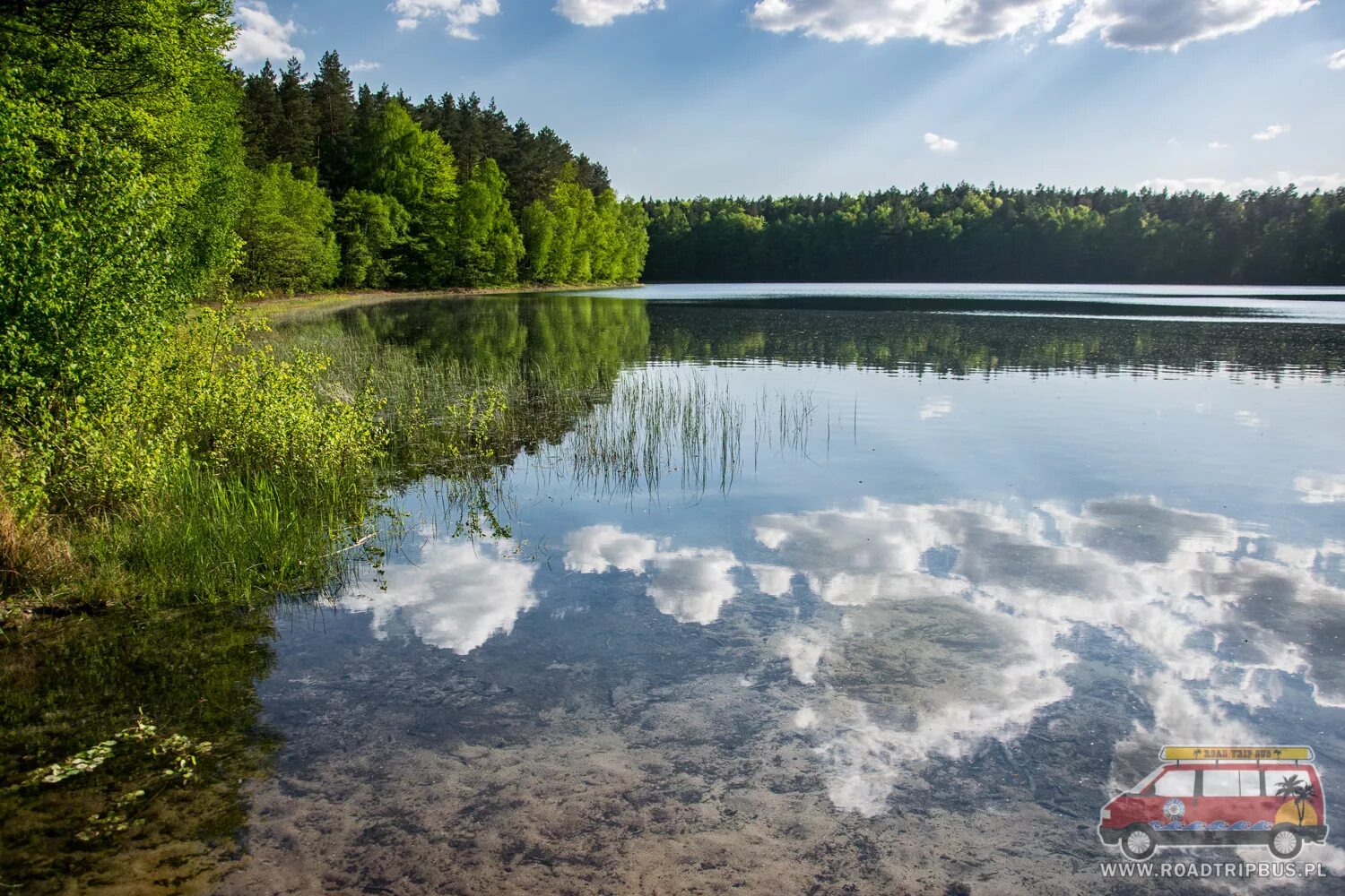 Ясное озеро. Озеро ясное. Озеро ясное. Lake jasna. Озеро ясное.