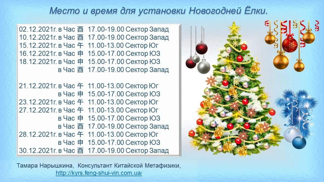 Когда лучше поставить елку в 2025 году. Какого числа ставить елку. ставим елку по фен-шуй 2025. благоприятные дни для установки ёлки на новый год по фен-шуй. какого числа лучше ставить новогоднюю ëлку.