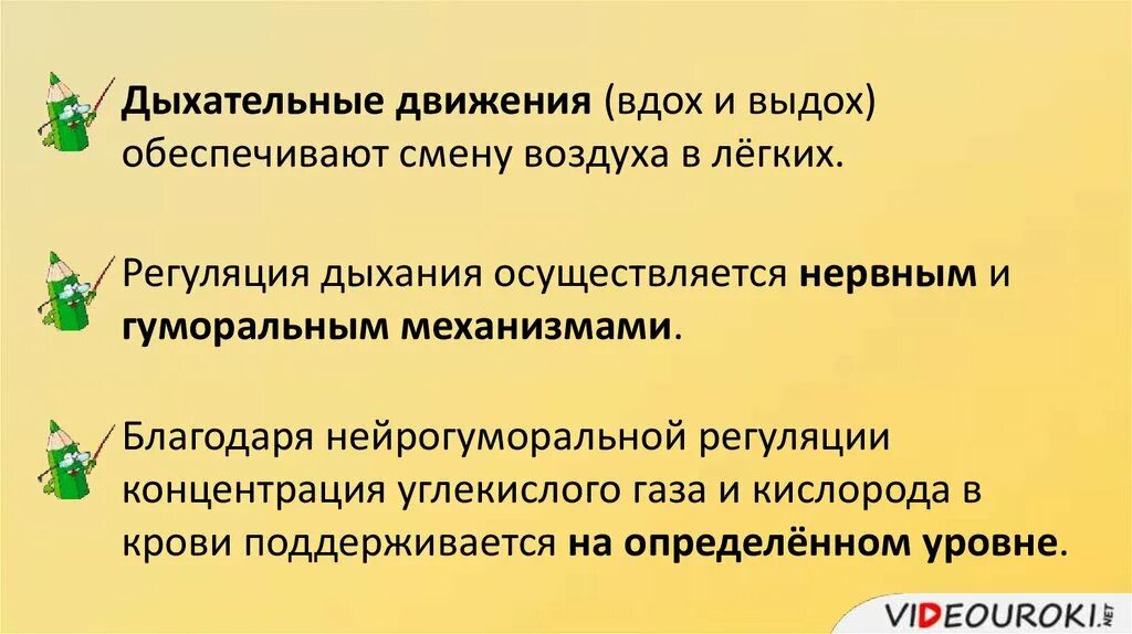 Вдохи 18. Дыхательные движения презентация. Дыхательные движения регуляция дыхания презентация 8 класс. Дыхательные движения 8 класс. Дыхательные движения презентация 8 класс биология.