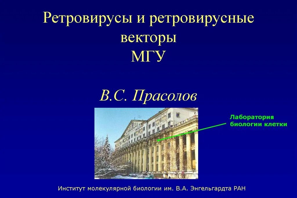 ИМБ РАН им Энгельгардта. Институт молекулярной биологии. Институт молекулярной биологии имени в. а. Энгельгардта РАН внутри. Структура ИМБ РАН Энгельгардта. Имб сайт