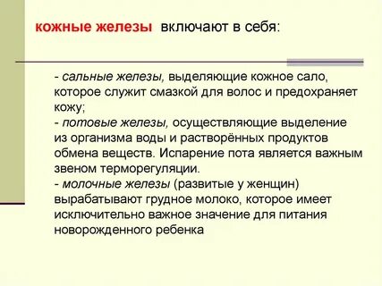 Многочисленные кожные железы