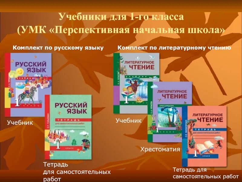 Литературное чтение класс школа. Учебно-методический комплекс «перспективная начальная школа». Перспективная начальная школа литературное чтение. УМК перспективная начальная школа литературное чтение. Структура учебников УМК перспектива начальная школа.