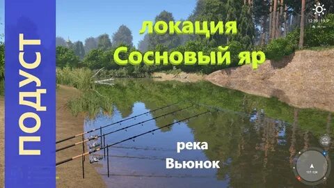 Где ловить на вьюнке