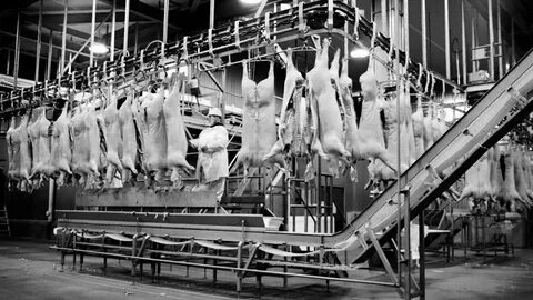 Slaughterhouse