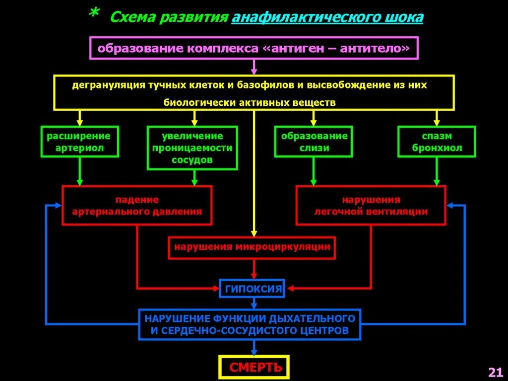 Патогенез анафилактического шока схема. Анафилаксия патогенез схема. Основные патологические механизмы развития анафилактического шока. Механизм анафилактического шока схема. Анафилактический шок патогенез