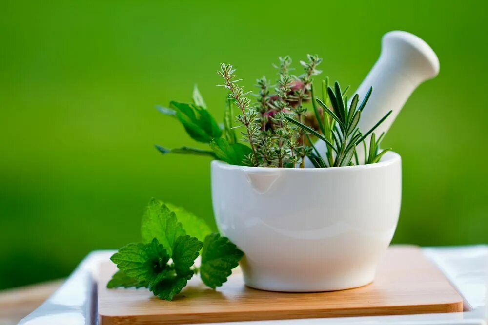 Целебные травы. Лекарства из растений. Лекарственные травы. Medical herb. Medical herb.