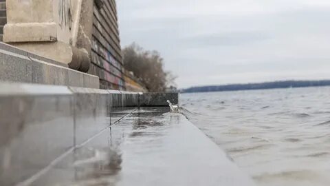 На сколько поднялась волга в самаре