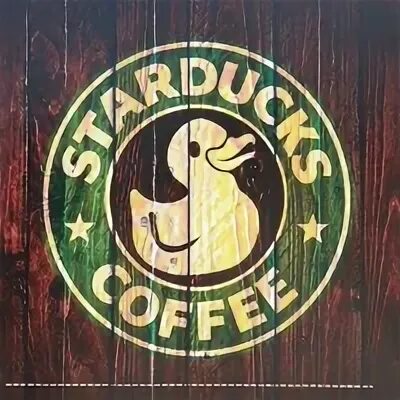 СТАРДАКС Севастополь. Star Duck Севастополь кофе. Starbucks Севастополь. СТАРДАКС пор 44 Севастополь.