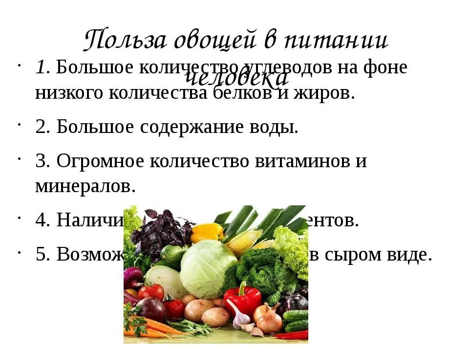 Значение овощей в питании. Овощи в питании человека. Важность овощей в питании. Полезность овощей для организма. Польза овощей.