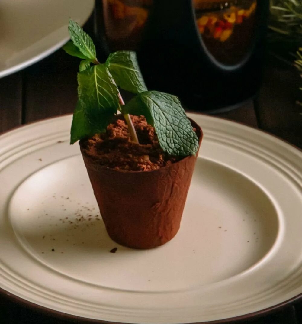 шоколадные горшочки. пирожное горшок с цветком. пирожное в виде цветочного горшка. шоколадный горшок с цветами. пирожное горшок с цветком.