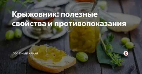 Крыжовник полезные свойства и противопоказания