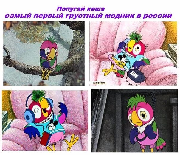 Кеша джус. Попугай кеша таити. Пью джюс оранжад. Видео пью джус. Лимон ph уровень.