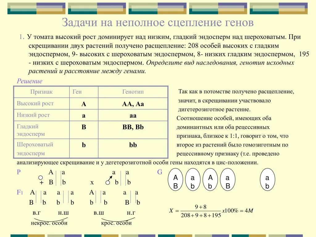 Каков рост гороха при следующих генотипах