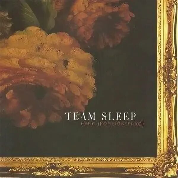 Team sleep - team sleep 2005. Team sleep. Team sleep - team sleep 2005. Team no sleep shoes. Обои на рабочий стол no sleep.
