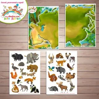 Игры карты животных