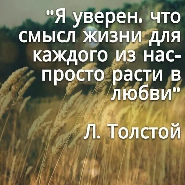 Популярные смыслы жизни. О смысле жизни. В чем смысл жизни. Цитаты со смыслом о жизни. Цитаты про жизнь.