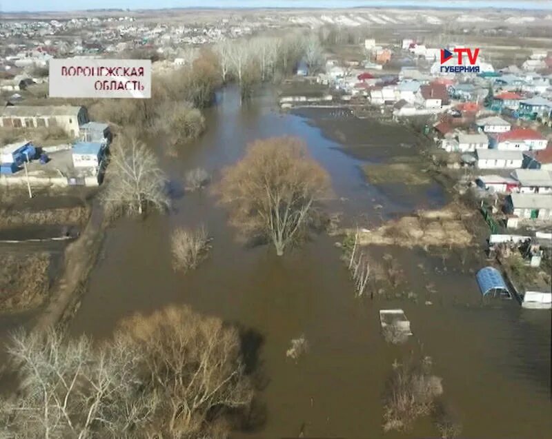 Половодье в воронежской области 2024. Паводок Воронеж. Паводки в Орехово-Зуево. Подтопление в Торжке.