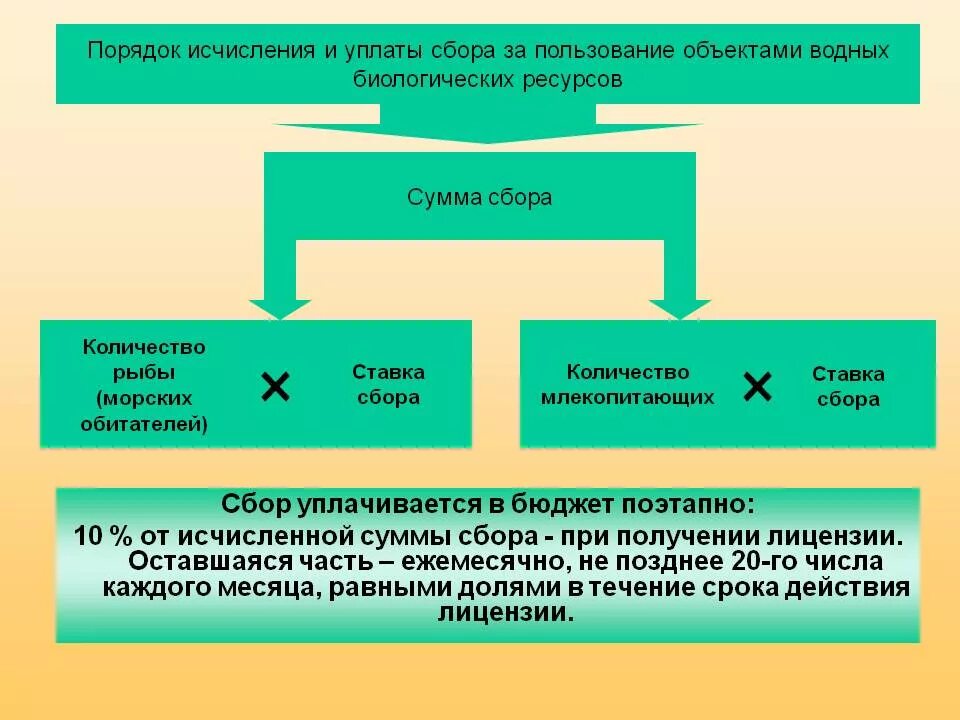 Сборы за пользование объектами животногого МИП. Сборы за пользование объектами водных биологических ресурсов. Расчеты организации по налогам и сборам