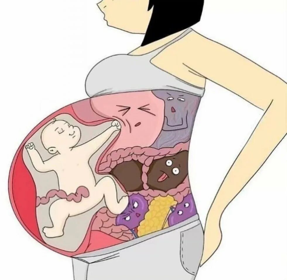 Быть сильной будучи беременной. У мамы в животике. Беременность юмор. Беременные шутки.