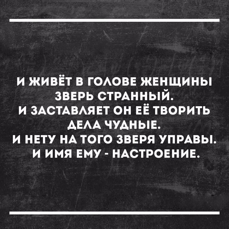 Красивая девушка с волком. Анекдоты про таню. Боевой бабораб. Высказывания про голову. Стихотворение про тварь.