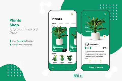Plant приложение