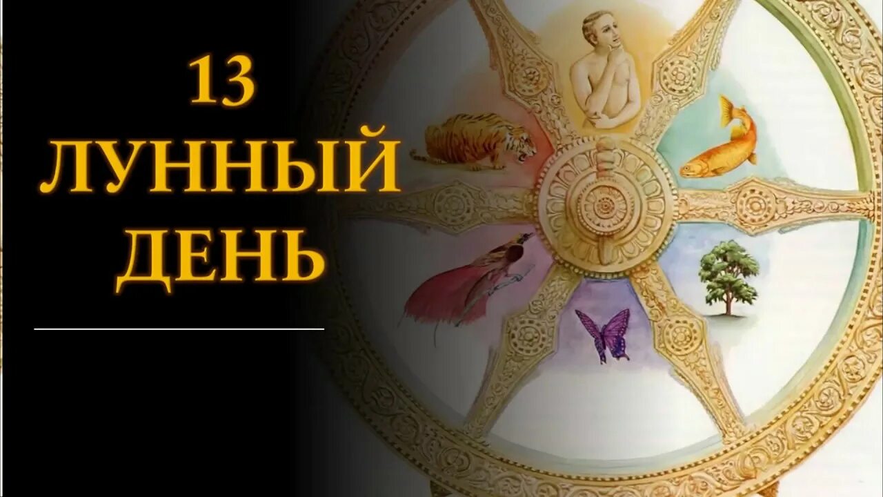 Лунный календарь 13 лунный день. 13 Лунный день. Тринадцатый лунный день. Символ 13 лунных суток. 13 Лунный день символ дня.