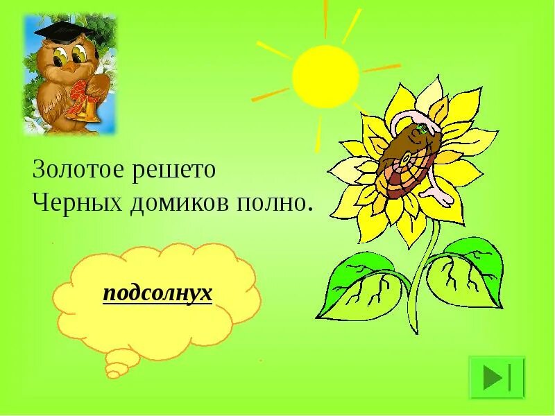 Подсолнух загадка. Загадка про подсолнух. загадка про подсолнечник. загадка про подсолнух для детей. детские загадки про подсолнух.