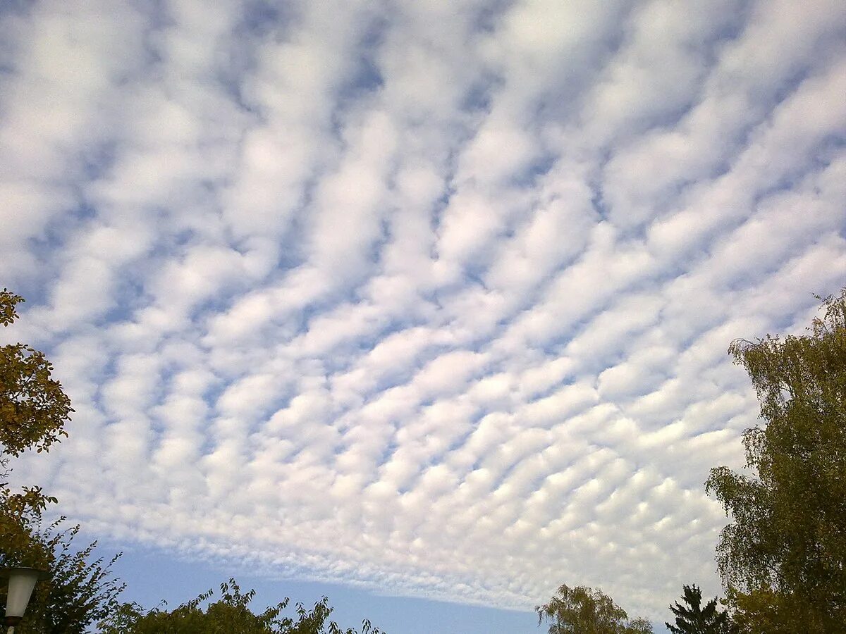 Облака понемногу рассеялись. Явление вирга. высококучевые (altocumulus, ac). высококучевые башенковидные. волнообразные облака кельвина-гельмгольца.