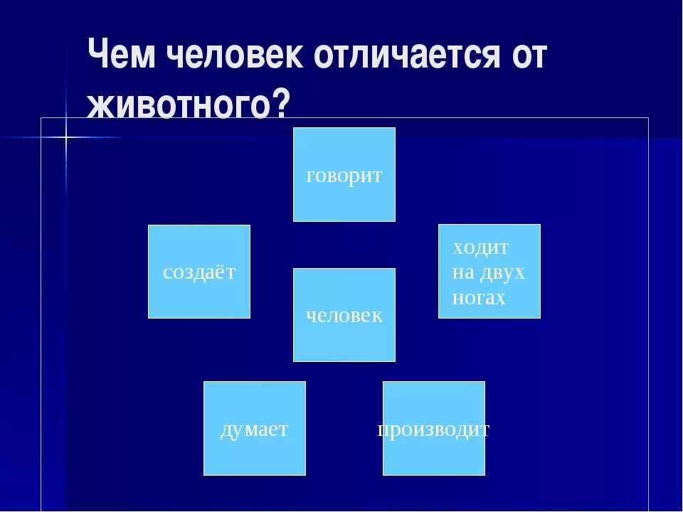 5 человек от животного отличается. 5 человек от животного отличается