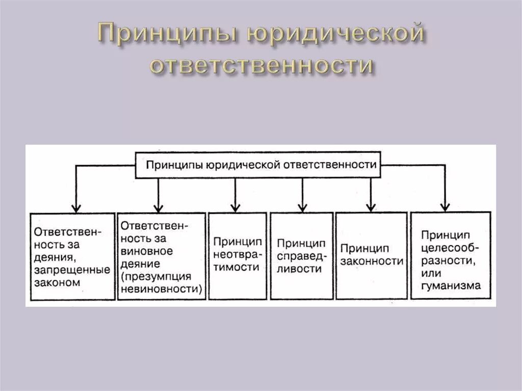 Какие функции выполняет юридическая ответственность. Принципы осуществления юридической ответственности таблица. Принципы юр ответственности таблица. Принципы юридической ответственности таблица. Принципы юридической ответственности схема.