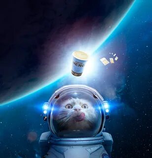 Кот космонавт