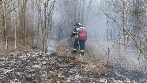 Видео пал