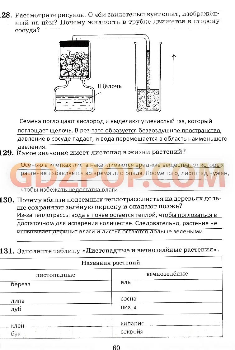 Рассмотрите изображенный опыт. Расскажите об опыте изображенном на рисунке 172. Рассмотрите рисунок о чём свидетельствует опыт изображенный на нем. Расскажите об опыте изображенном на рисунке 187. Почему жидкость в трубке движется в сторону сосуда биология 6.