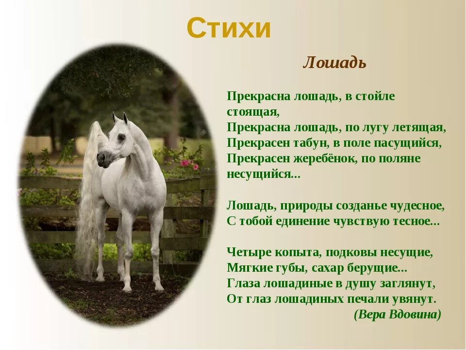 Стихи про лошадей. Стих про коня. Стихотворение про лошадь. Стихи про лошадей красивые. Лошадь красивые слова