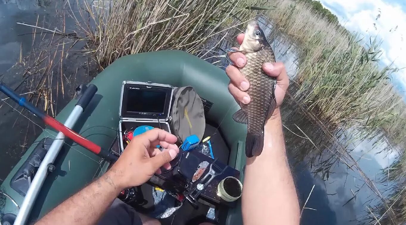 Ловля мелкого. Ловля мелкого. Карасики в ведре. Речная рыба улов. Окунь речной малек.