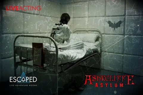 Asylum перевод
