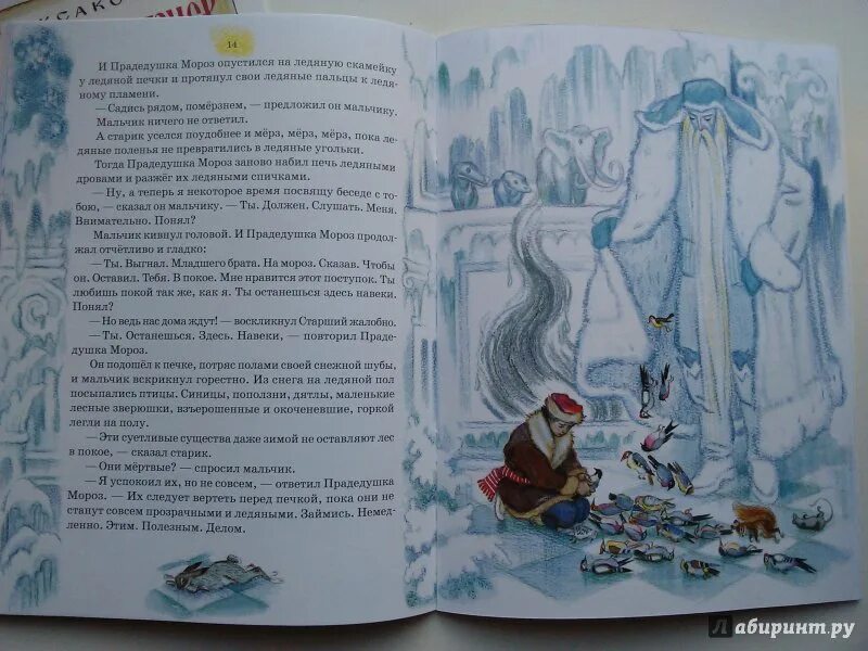 Два брата читать кратко. Два брата читать кратко