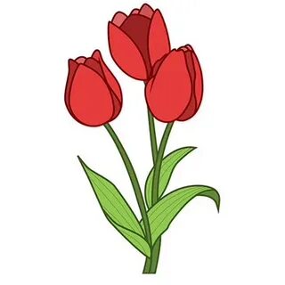 Тюльпан скопировать