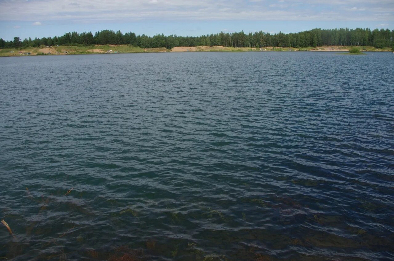 Мга малуксы. Озеро Малукса. Старая Малукса озеро. Барское озеро Апраксин. Озеро Малукса Ленинградская область.