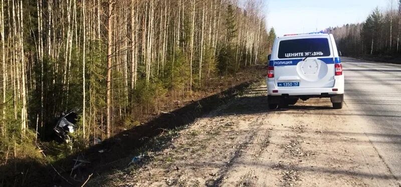 Пгт верхошижемье. Погода верхошижемье кировская область по часам. Население верхошижемье. Погода верхошижемье кировская область по часам. Новогодняя лыжная гонка верхошижемье 2022.